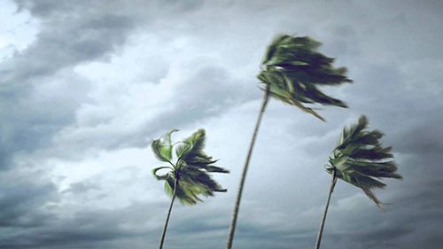 Wind Damage Repair